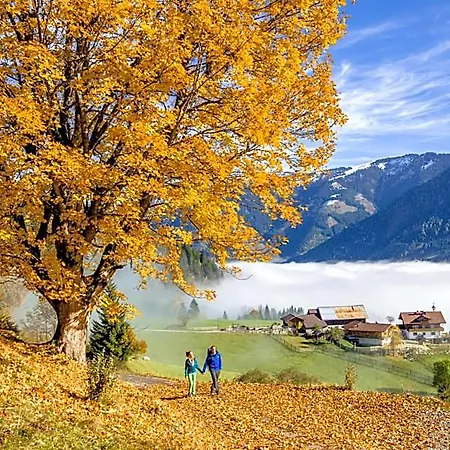 Alpine - Premium Family And Natural Swimming Pond Apart-hotel 4*